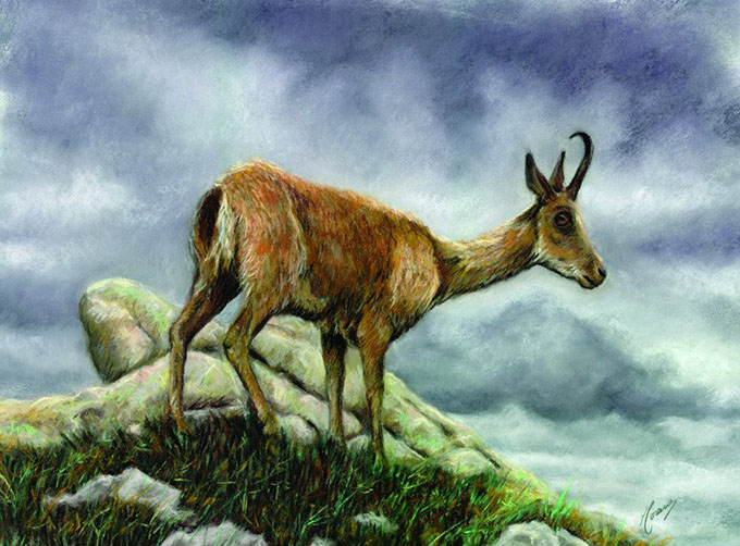 299701_430585397029620_1329375824_n