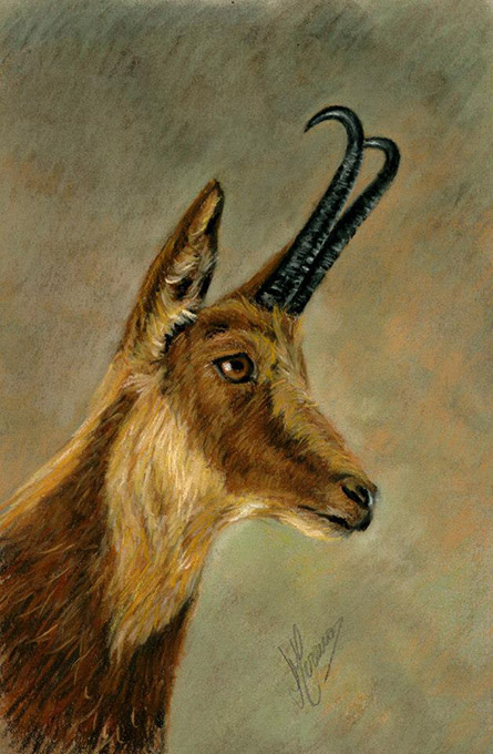 429645_430580117030148_328774827_n