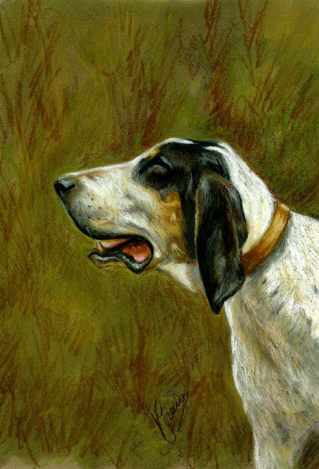 525168_430585997029560_1545703819_n