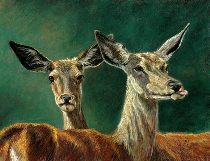 537722_430586437029516_1054535414_n