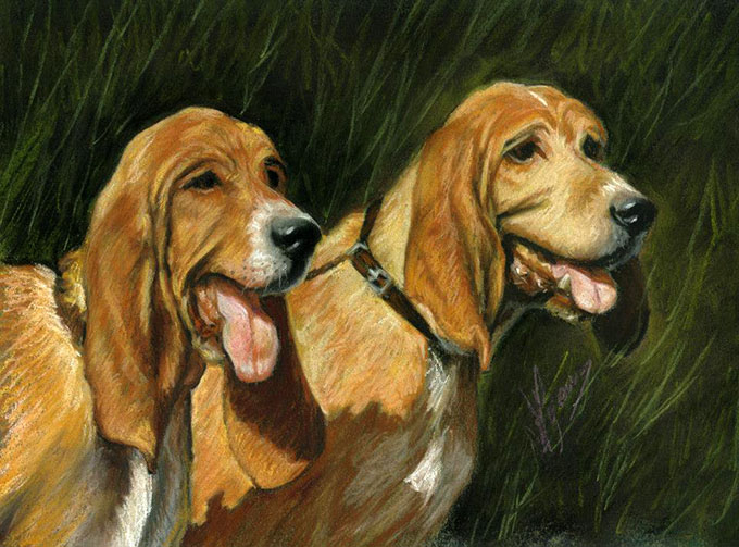 576387_430580257030134_1179015692_n