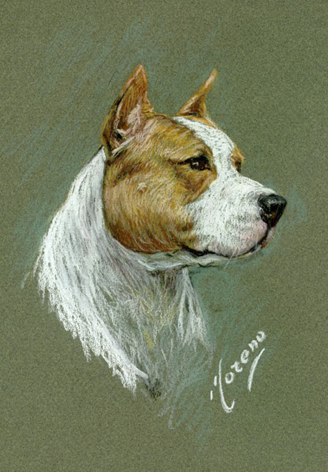 miperropastel12x12