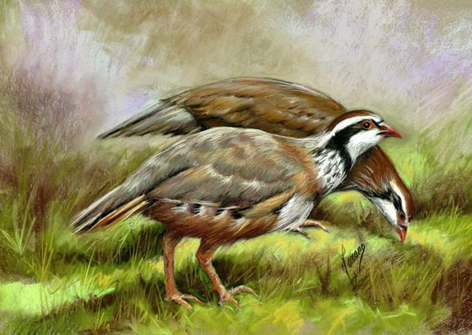 parejadeperdicespastel40x50