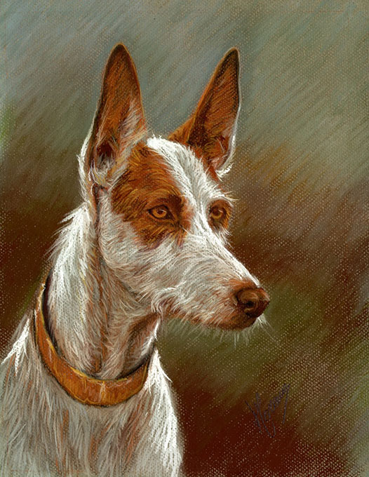 podenco-pastel